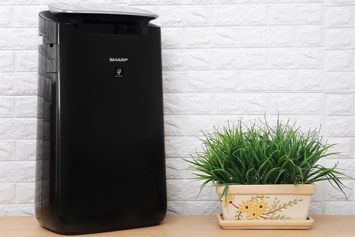 Máy lọc không khí Sharp FP-J80EV-H 48W